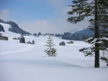 Ferienwohnung für 3 Personen in Hittisau, Allgäuer Alpen (Österreich), Bild 3