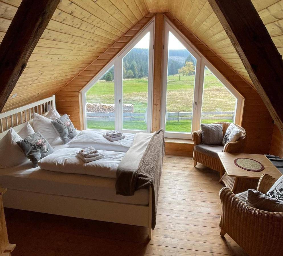 Ganze Wohnung, Ferienhaus Rennsteig-Wander-Mountainbike und Langlaufparadies in Sachsenbrunn, Rennsteig