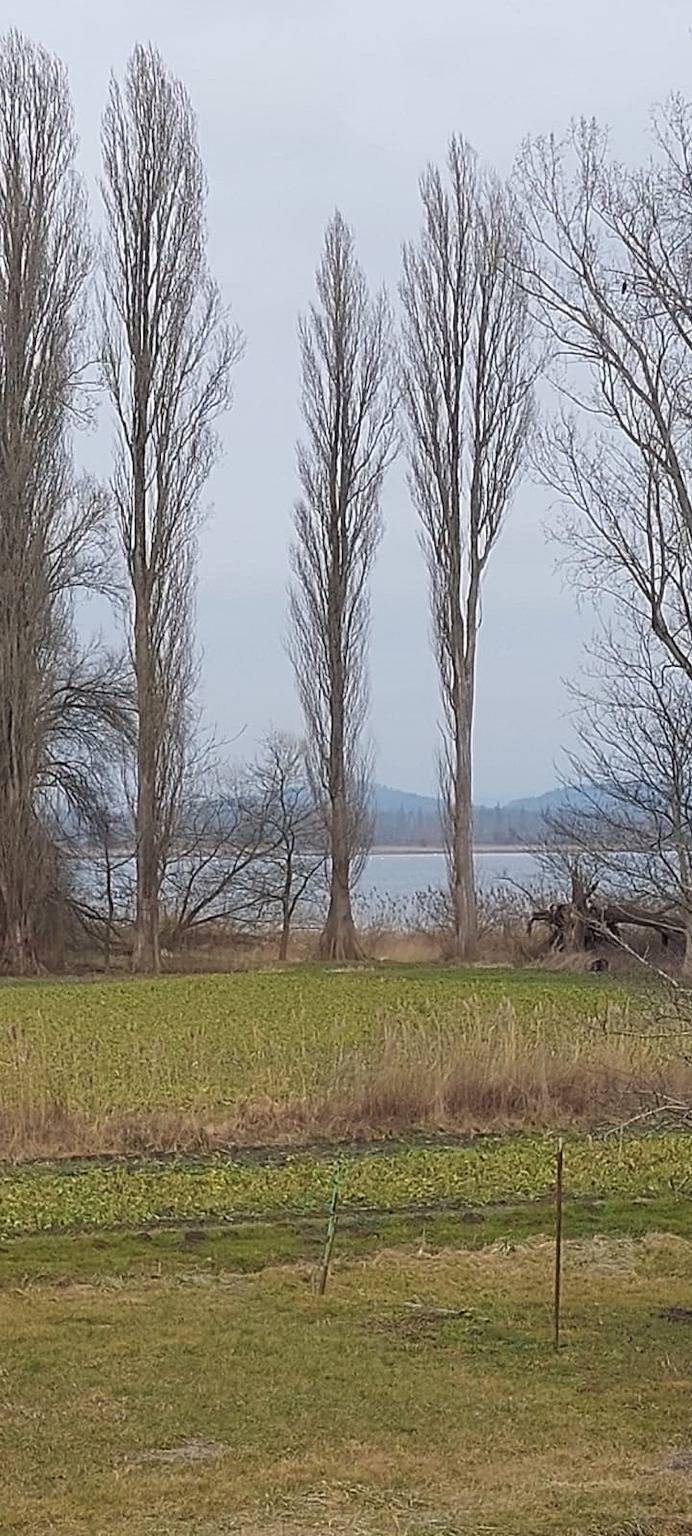 Ganze Ferienwohnung, Ferienwohnung Ursula Billi - Ferienwohnung  App. 52 qm in Moos, Untersee