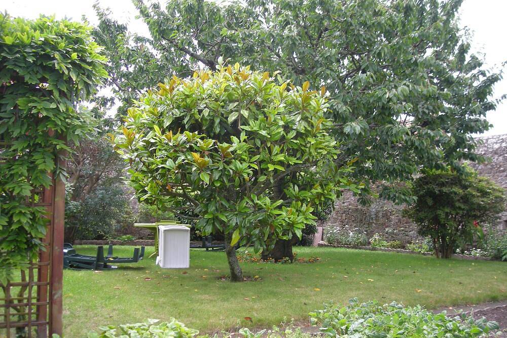 Appartement entier, Appartement  dans maison de caractère avec très beau jardin arboré. in Port-Louis, Côte des Mégalithes