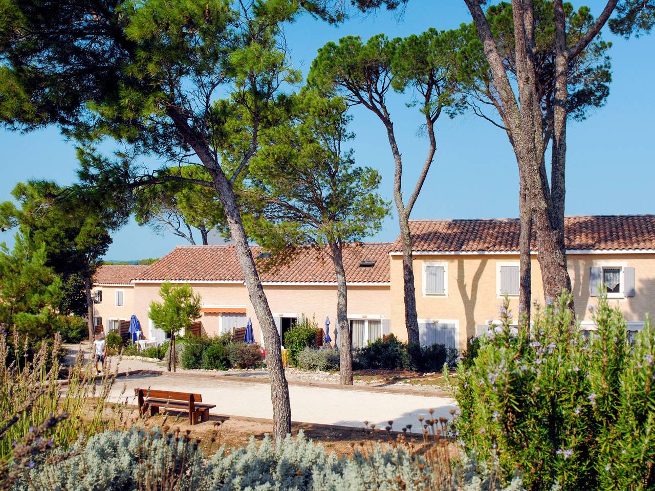 Mas des Vignes in Calvisson, Region de Nimes