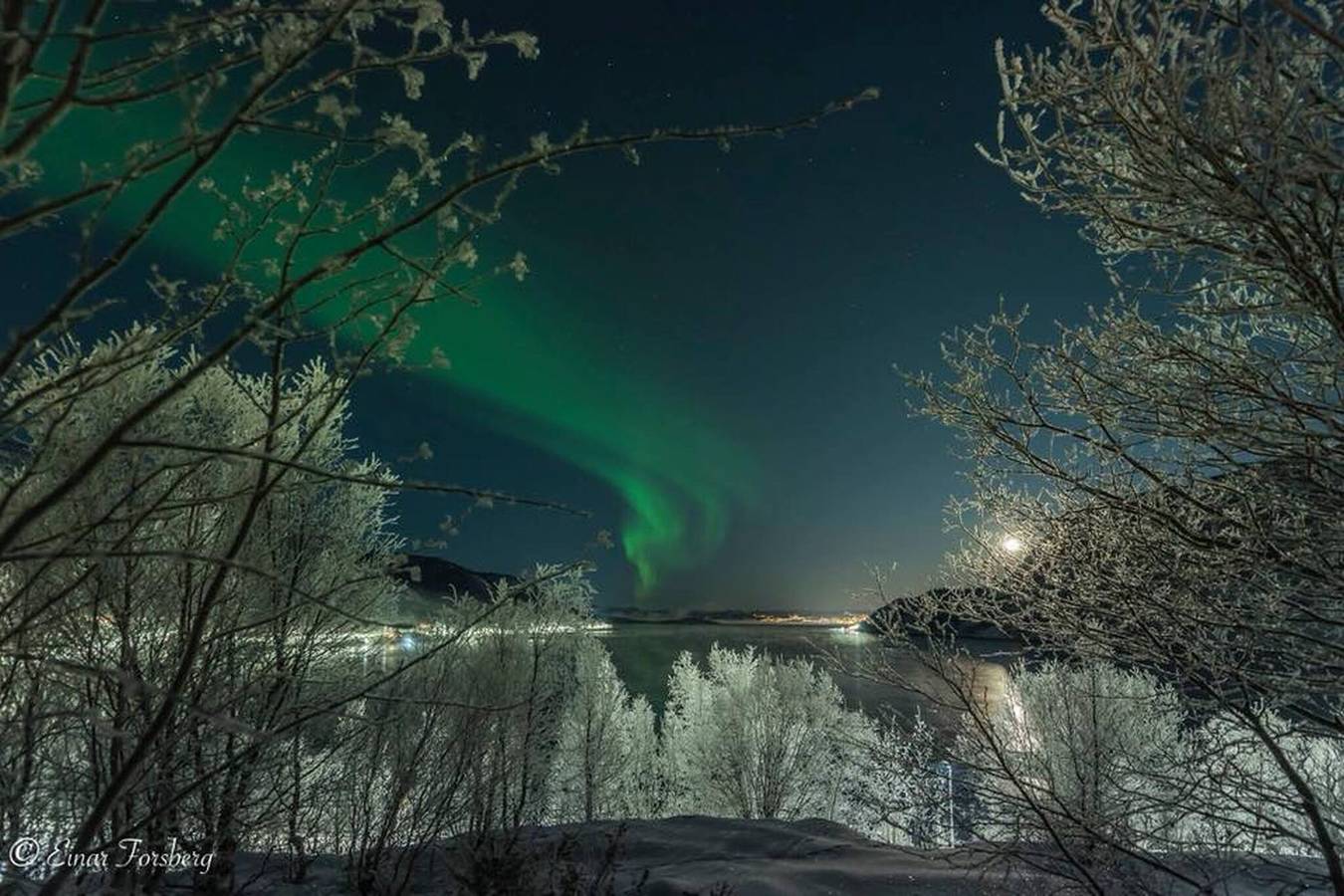 Ganzes Studio, Ruhiges und zentrales Studio - in der Nähe von allem in Alta