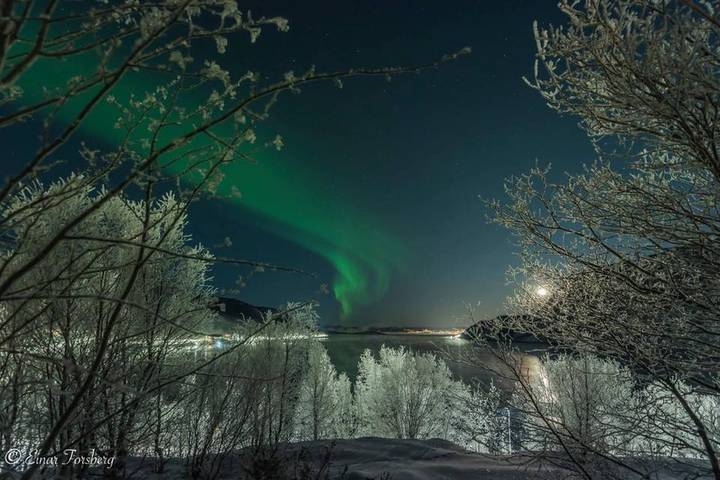 Studio für 2 Personen, mit Garten in Alta - 2