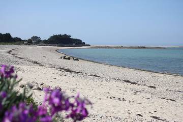 Villa vue mer, spa (bain tourbillonnant), accès plage au bout du jardin!