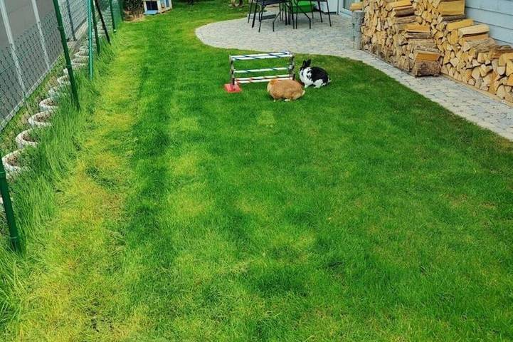 Ferienwohnung für 4 Personen, mit Terrasse und Garten in Moos - 4