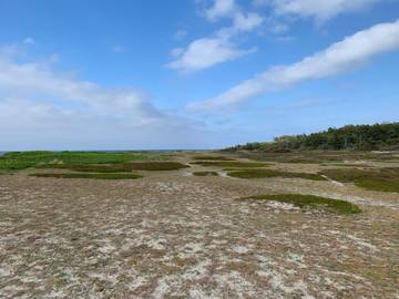 Feriehus til 7 Personer i Rørvig, Odsherred, Bilde 4