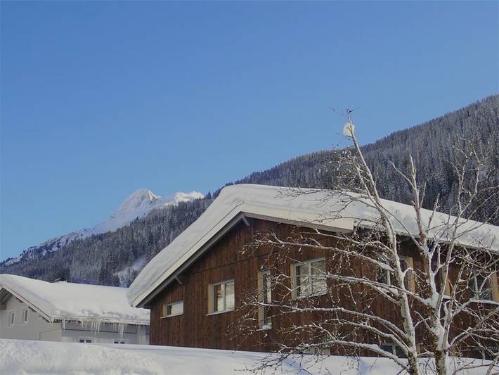 Ferienwohnung für 6 Personen, mit Sauna und Balkon in Dalaas - 2
