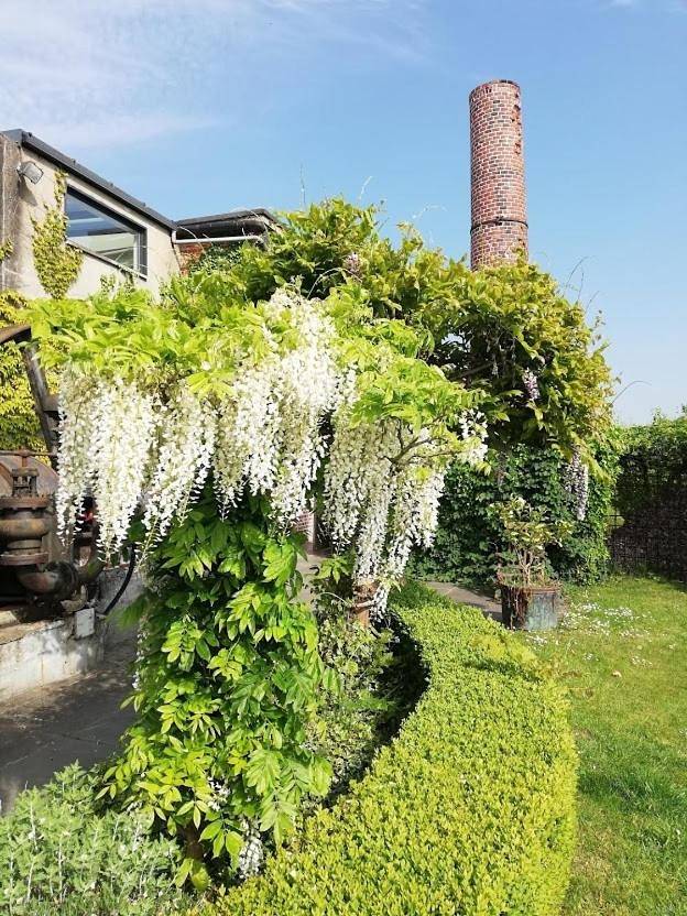 Location de vacances pour 4 personnes, avec vue ainsi que piscine et jardin, animaux acceptés à Courtrai - 4