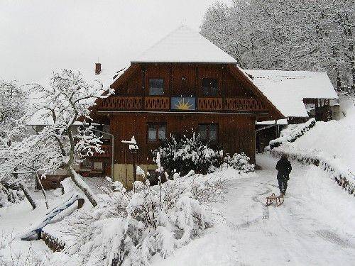 Ganze Ferienwohnung, Haus Sonnenstrahl - Ferienwohnung Morgensonne, 50qm, 2 Schlafzimmer, max. 4 Personen in Seelbach, Mittlerer Schwarzwald