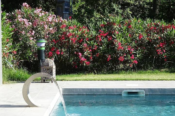 Maison de vacances pour 18 personnes, avec Balcon et Jardin à Saint-Gilles