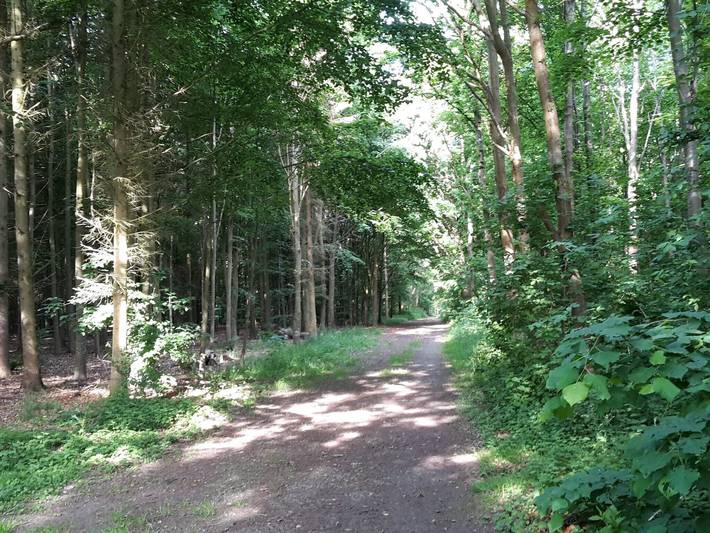 Ferienhaus für 10 Personen, mit Garten, kinderfreundlich auf Ærø - 2