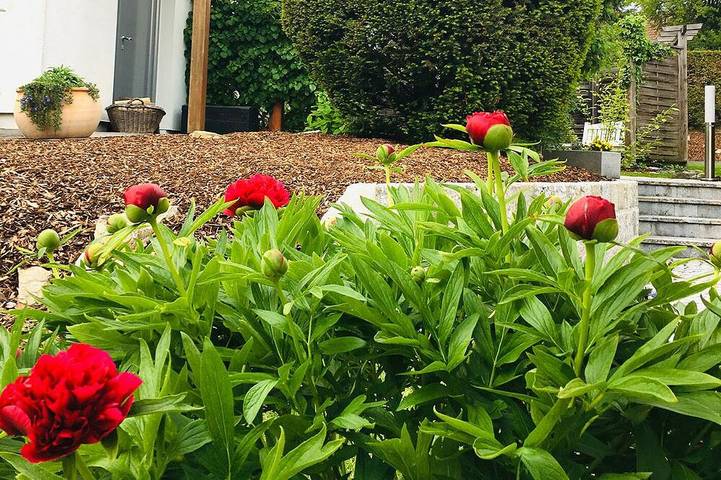 Cottage für 4 Personen, mit Sauna und Garten