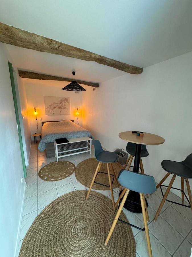 Gîte pour 2 personnes, avec jardin, animaux acceptés dans Chaleins
