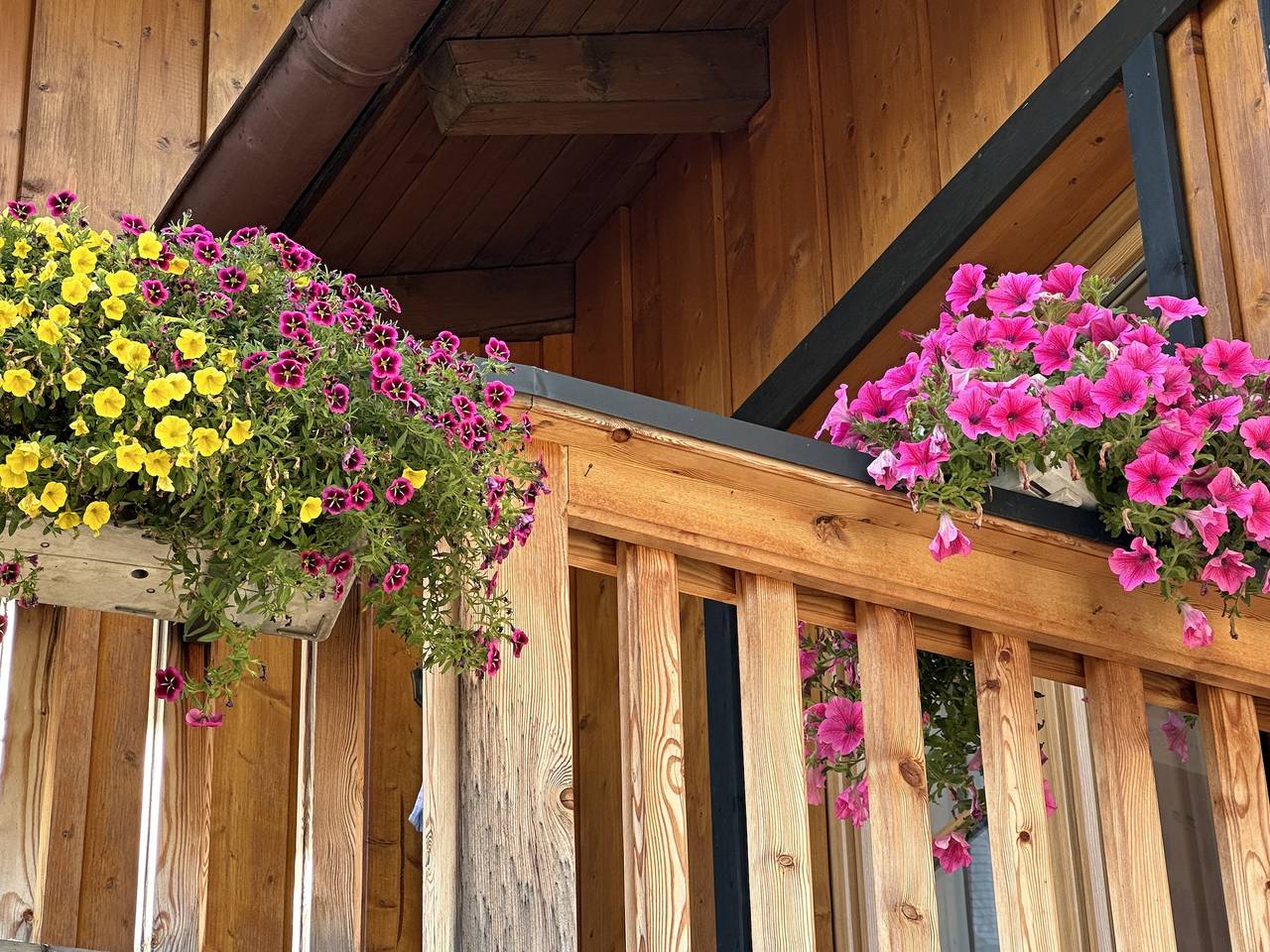 Ganze Ferienwohnung, Ferienwohnung Eisenberger inkl. Chiemgaukarte - Ferienwohnung Eisenberger 45qm, Balk., Küche, 1 Schlaf- u. 1 Wohnz., max. 2 P. in Ruhpolding, Bayerische Alpen