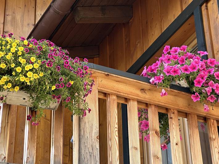 Ganze Ferienwohnung, Ferienwohnung Eisenberger inkl. Chiemgaukarte - Ferienwohnung Eisenberger 45qm, Balk., Küche, 1 Schlaf- u. 1 Wohnz., max. 2 P. in Ruhpolding, Bayerische Alpen