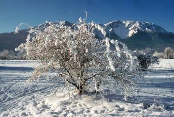 Bnb für 3 Personen in Puchberg am Schneeberg, Niederösterreich - Süd, Bild 3