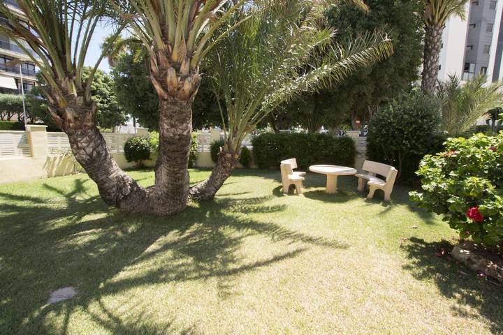 Ferienwohnung für 3 Personen, mit Terrasse in Calpe - 4