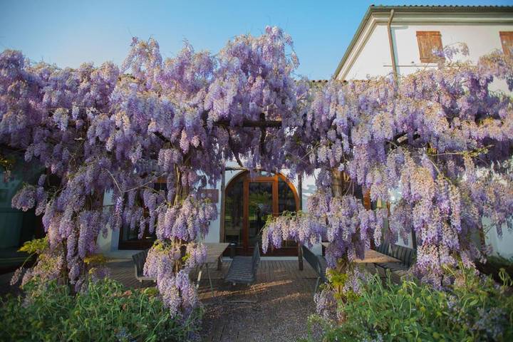 Appartamento per 5 persone, con Terrazza e Giardino nonché Panorama a Roncade