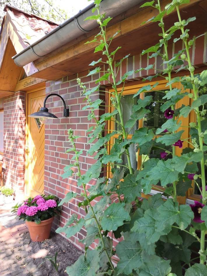 Ferienhaus für 5 Personen, mit Terrasse und Garten in Lüneburg und Umgebung - 2