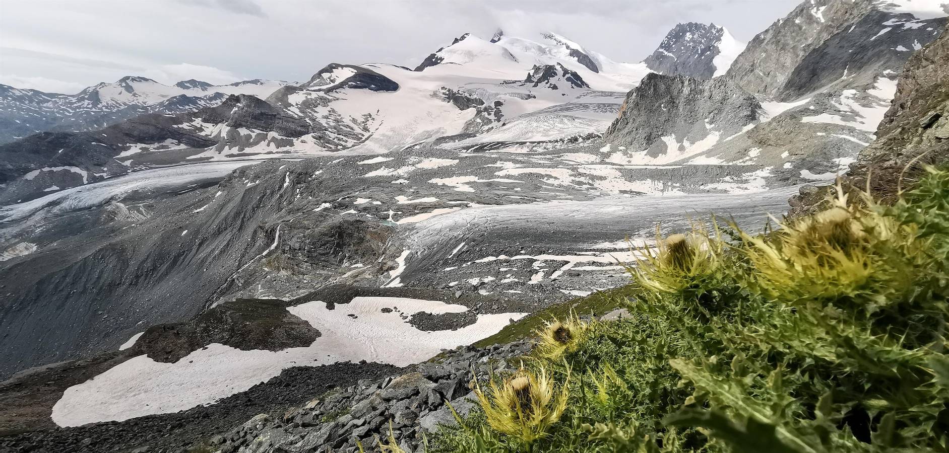 Geheel vakantieappartement, 4-Bettwohnung West in Saas-Grund, Walliser Alpen