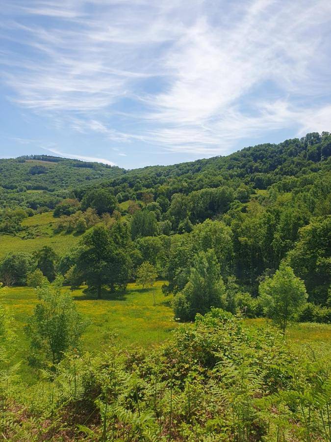 Location de vacances pour 3 personnes, avec vue et jardin, animaux acceptés à Lugan - 3