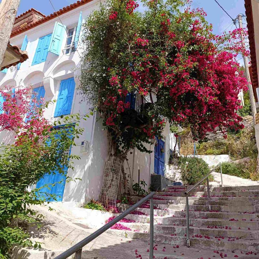 Appartement entier, One-Bedroom Apartment in North Aegean Islands