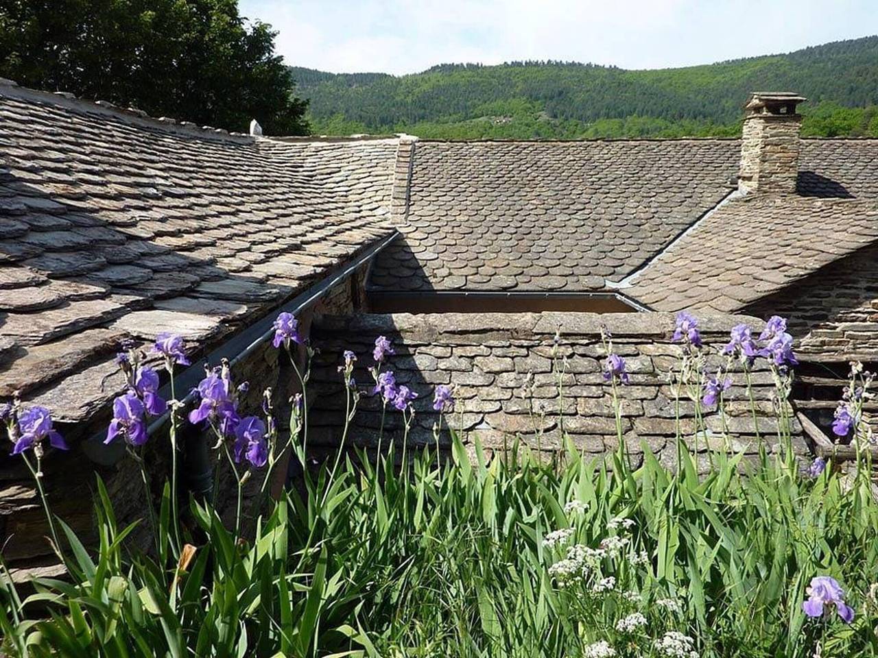 Chambres et table d'hôtes de vernet - frêne in Saint-Germain-de-Calberte, Parc national des Cévennes