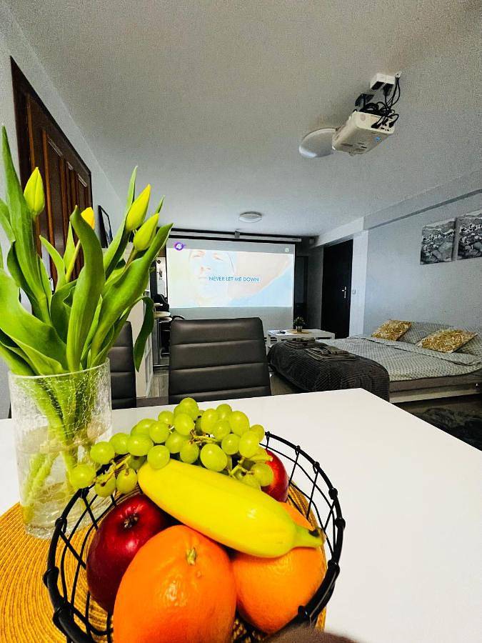 Apartament wakacyjny dla 4 osób, z ogród i widok w Żywiec