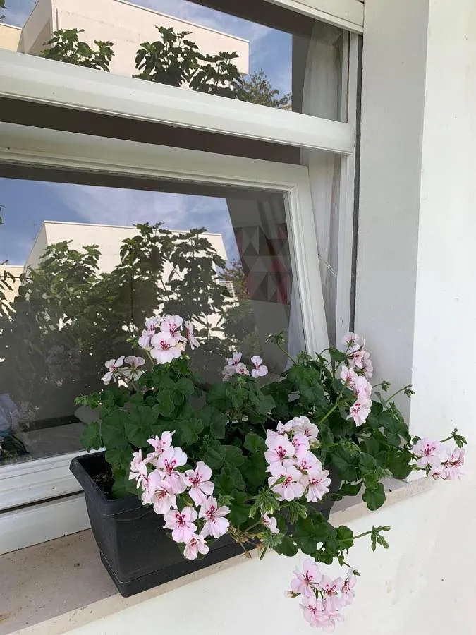 Casa de vacaciones para 4 personas, con piscina además de vistas y jardín - 1