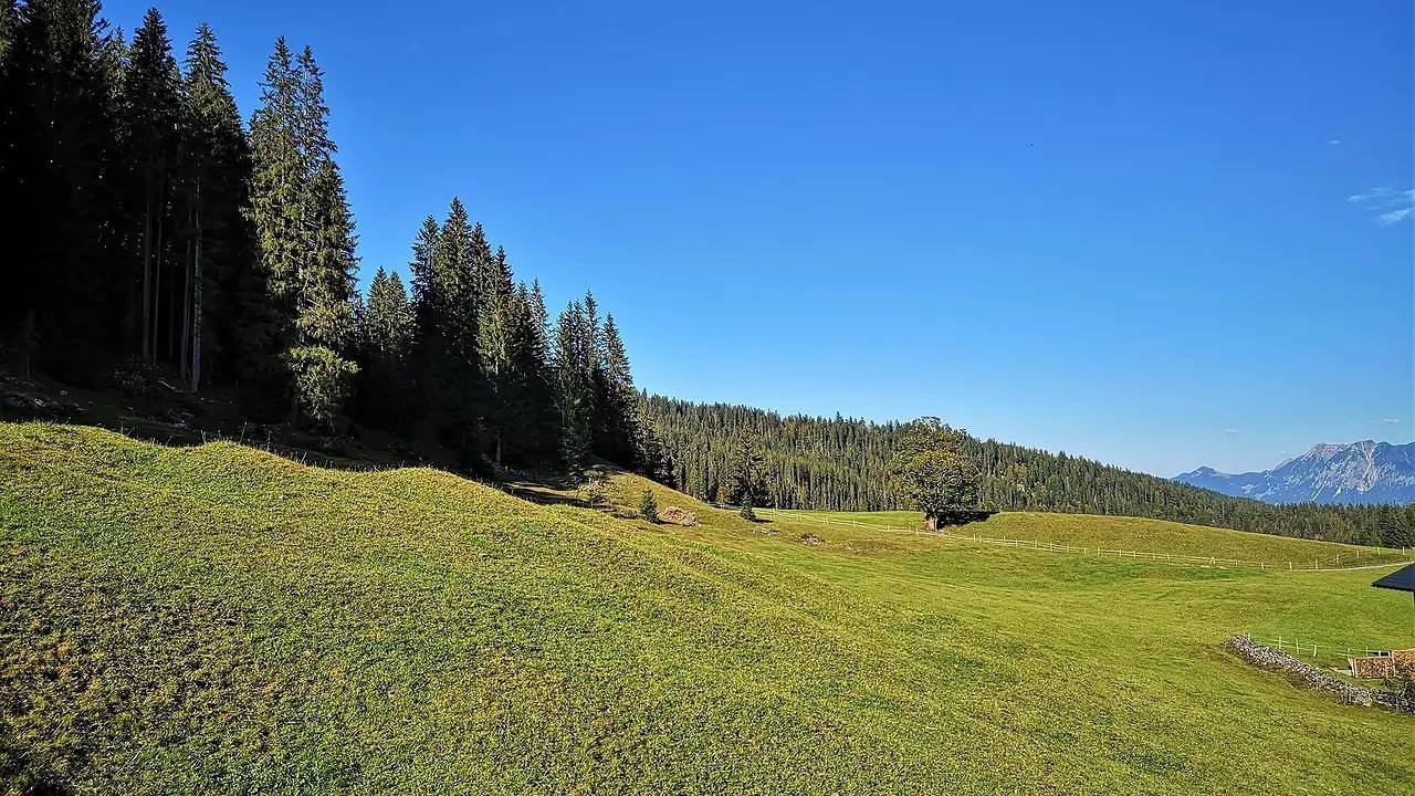 Ferienhaus für 2 Personen (65 m²) in Hirschegg (Vorarlberg) in Mittelberg, Kleinwalsertal