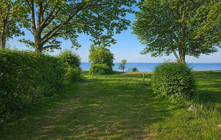 Ferienhaus für 5 Personen, mit Terrasse und Garten in Nørre Kettingskov - 4