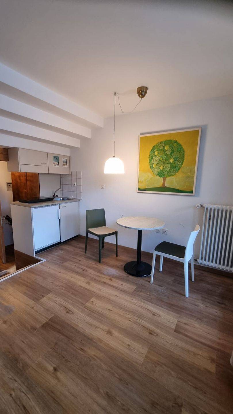 Ganze Wohnung, 1 Zimmer Wohnung für 2 Personen mit Aussicht auf die Skipiste in Surses, Oberhalbsteiner Alpen