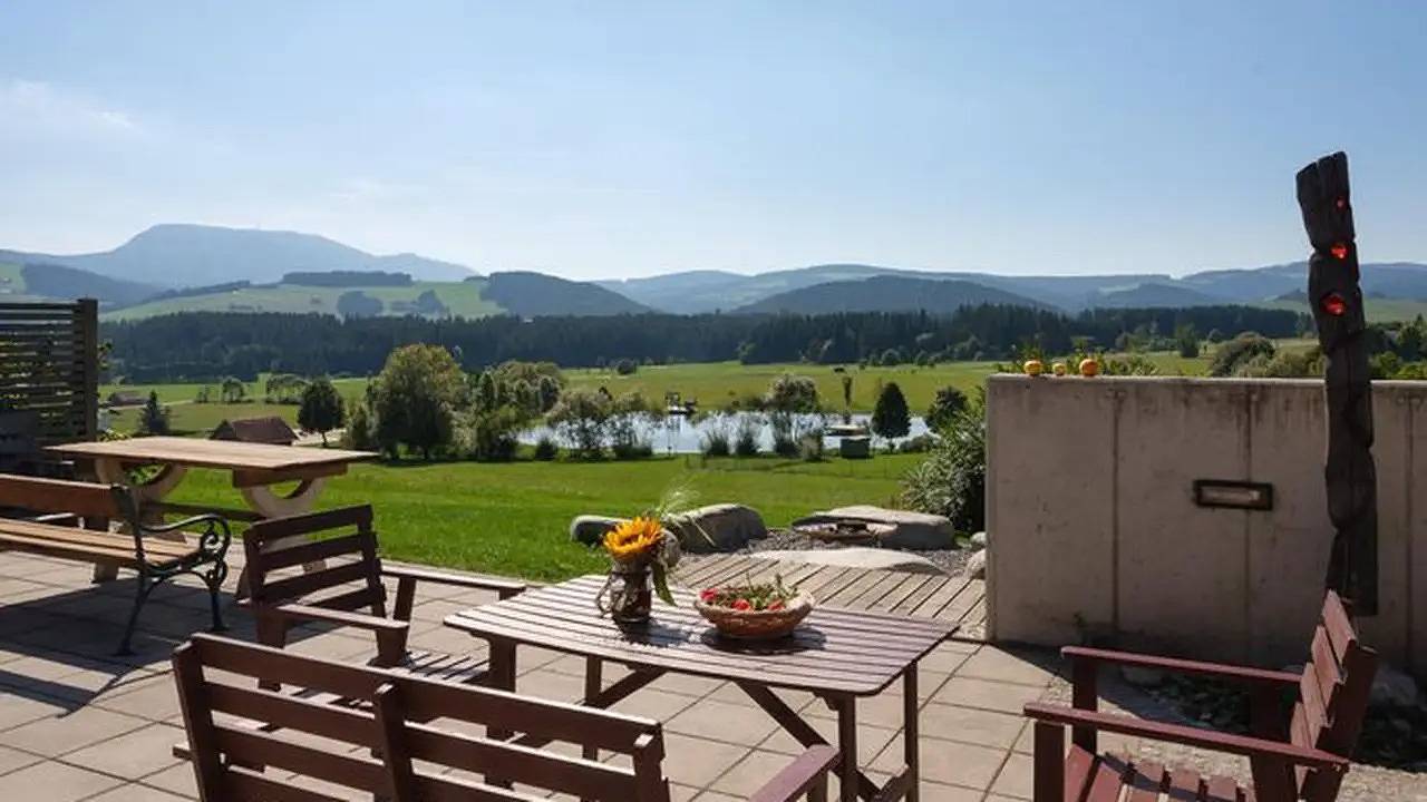 Ganze Ferienwohnung, Ferienwohnung für 1 Person (18 m²) in Passail in Passail, Steirerland