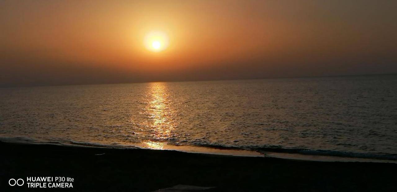 Stella marina in Spiaggia di Campofelice di Roccella (Campofelice di Roccella), Campofelice di Roccella
