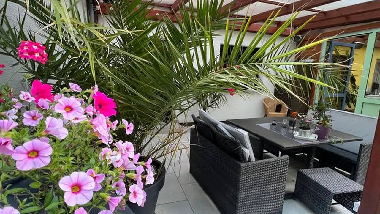 Entire holiday apartment, Ferienwohnung für 4 Personen (80 m²) in Pirna in Pirna, Elbe Sandstone Mountains