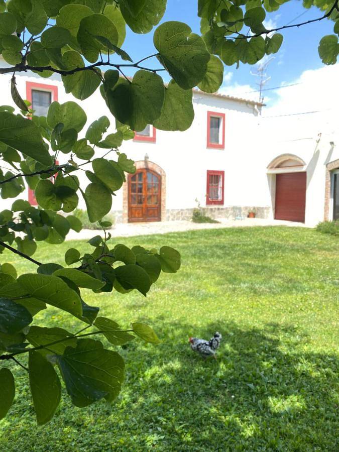 Casa rural para 10 personas, con vistas además de piscina y jardín, Se admiten mascotas en Alt Penedès - 2