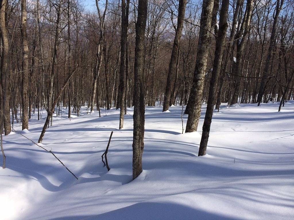 Gemütliche Hütte mit See- und Bergblick in Rutland County