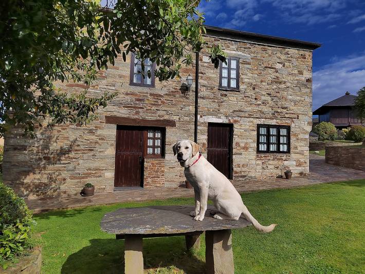Geheel appartement, Appartement 'Cortiña' met bergzicht, gedeeld terras en Wifi in A Fonsagrada, Lugo Provincie