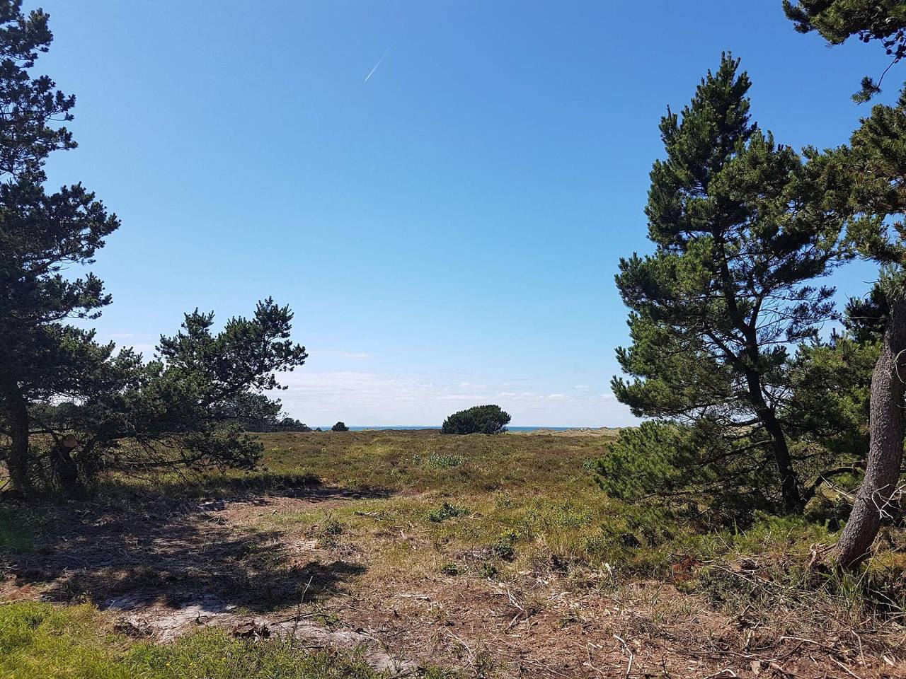 6 Personen Ferienhaus in Læsø-By Traum in Byrum, Læsø