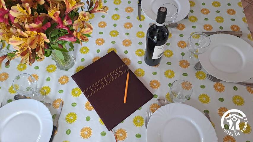 Gîte pour 6 personnes, avec terrasse à Albi - 3