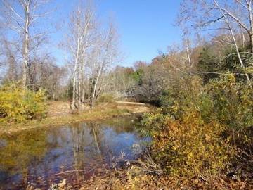 Lake House for 2 Guests in Ozark Mountains, Mark Twain National Forest, Picture 1