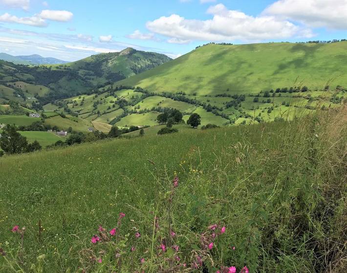 Gîte pour 6 personnes, avec terrasse dans vallée d'Aspe - 3