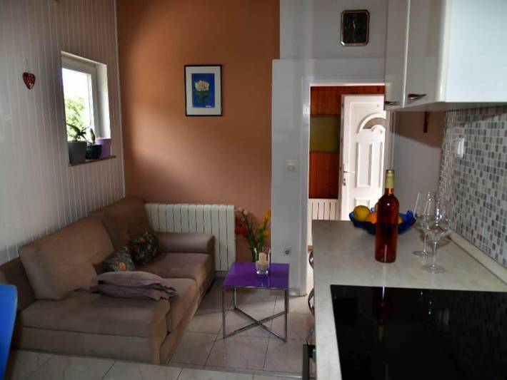 Holiday apartment for 4 people, with terrace, with pets - 1