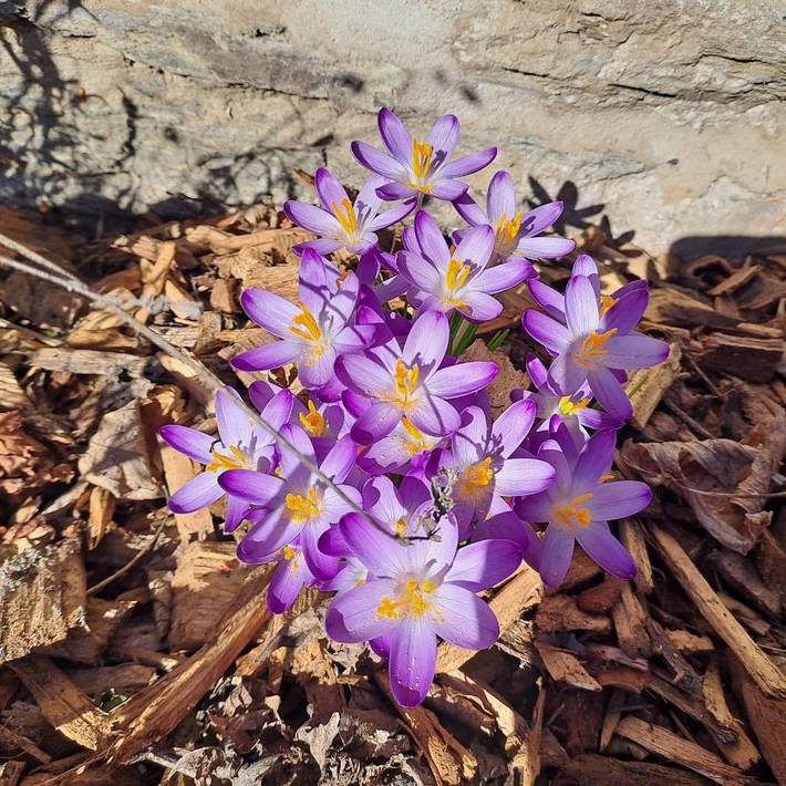 Location de vacances pour 6 personnes, avec jardin et jacuzzi, adapté aux familles à Léglise - 3