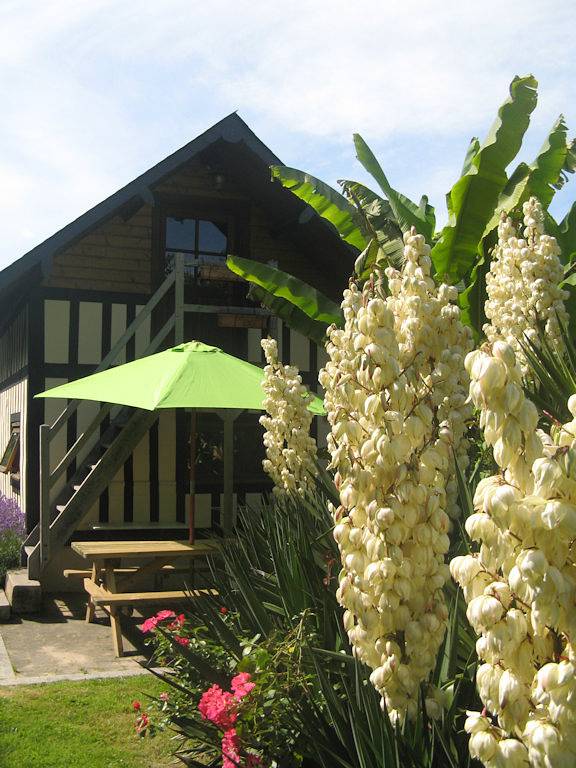 Gîte pour 2 personnes, avec jardin et terrasse, animaux acceptés dans l' Eure - 4