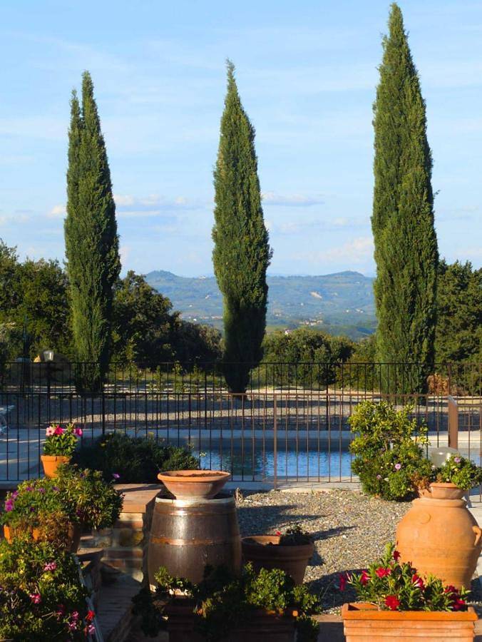 Chambre d’hôte pour 3 personnes, avec jardin et piscine, animaux acceptés à San Gimignano - 4