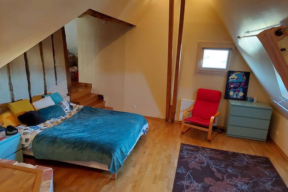 Comfortable house with swimming pool in season for 8 people close to all amenities in Amboise, Tours region