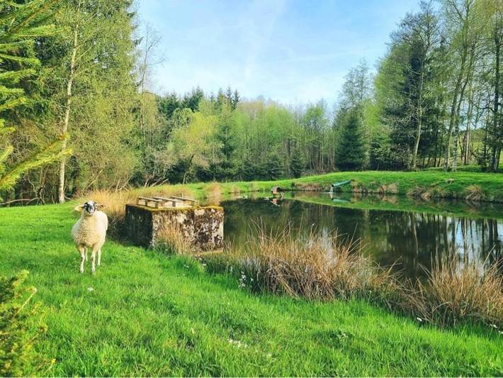 Gîte pour 8 personnes, avec jardin et vue à Gerbépal - 2