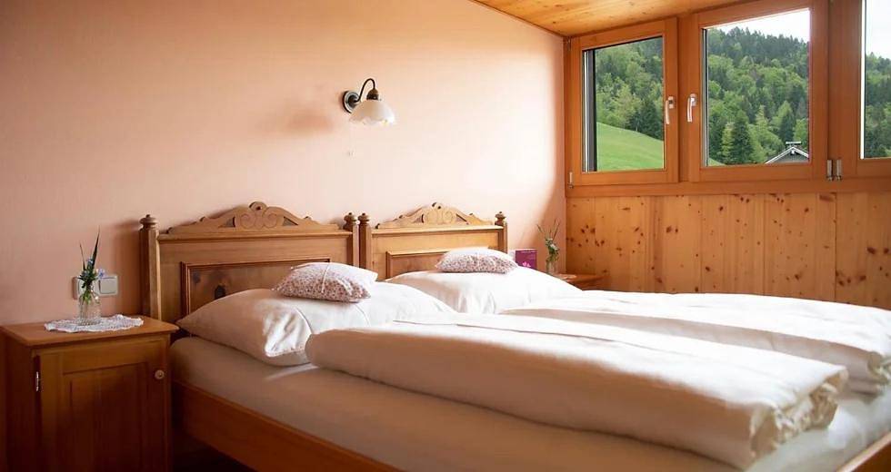 Ganzes Studio, Bio Ferienbauernhof Greber in Schwarzenberg, Bodensee-Vorarlberg