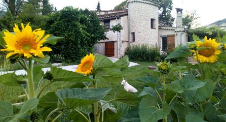 Gîte pour 6 personnes, avec terrasse et jardin à Entrevaux